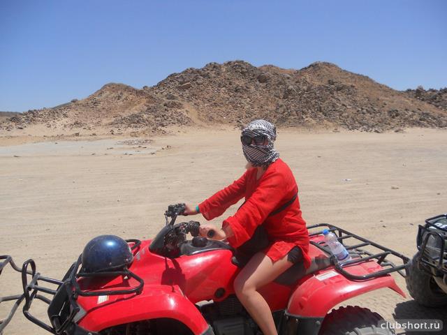48512_2kwkecmxocq.jpg